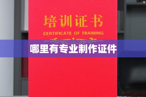 兴庆哪里有专业制作证件